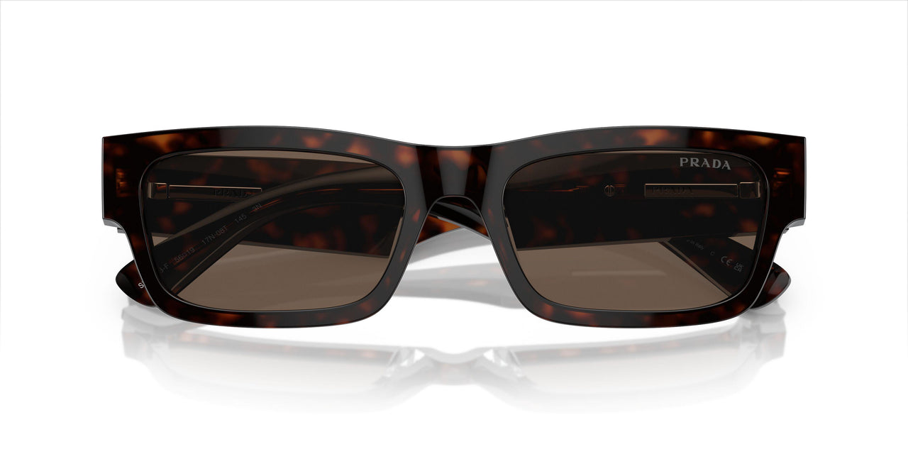 17N08T - Brown - Brown