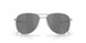 605003 - Silver - Prizm Black Polarized