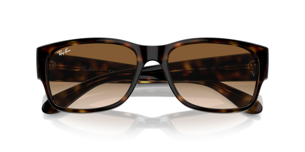 710/51 - Tortoise - Clear & Brown