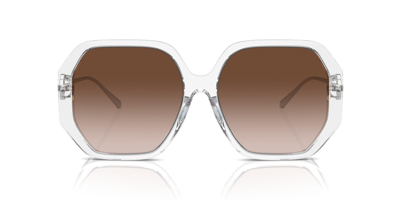197913 - Transparent - Brown Gradient