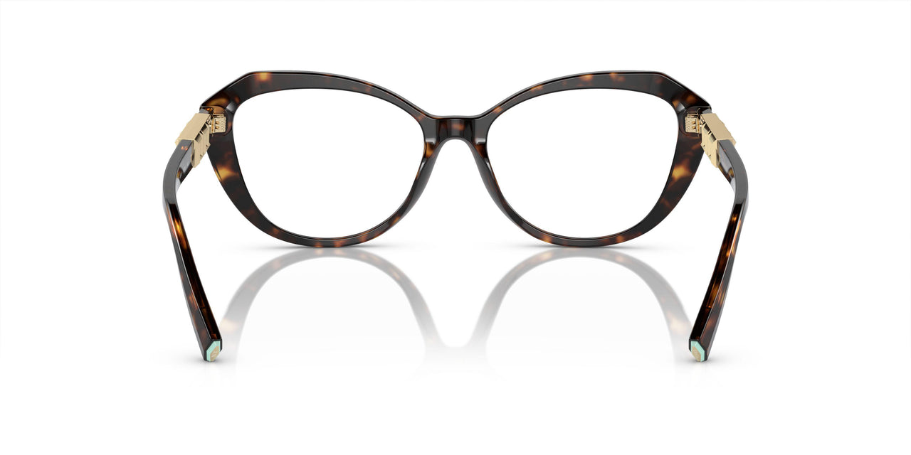 8015 - Tortoise