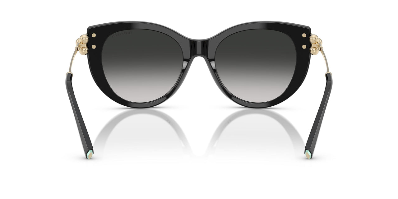 80013C - Black - Gray Gradient