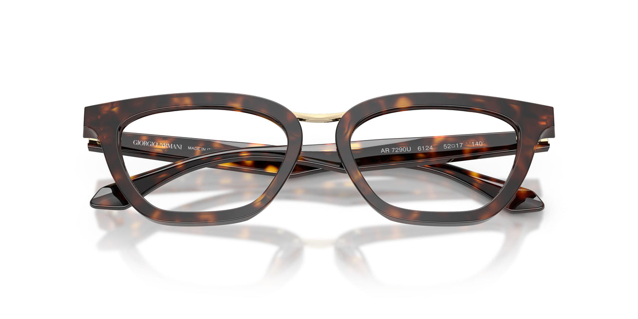 6124 - Tortoise