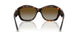 8015T5 - Tortoise - Polar Brown Gradient