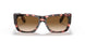 133451 - Havana - Brown Gradient
