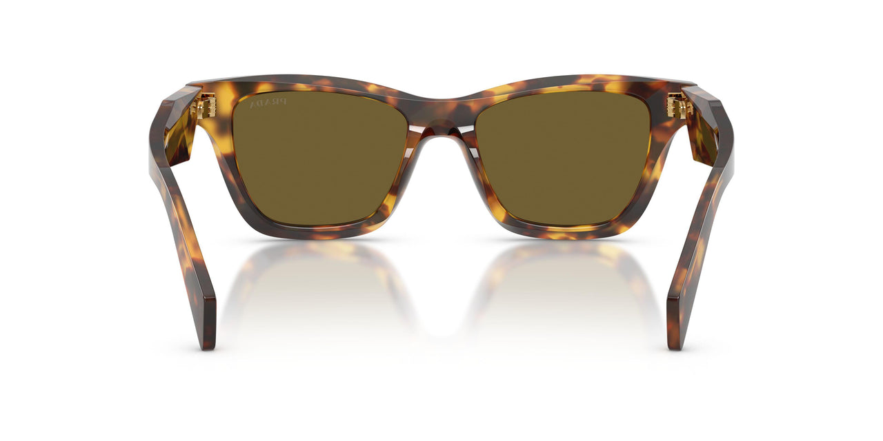 14L09Z - Tortoise - Dark Brown