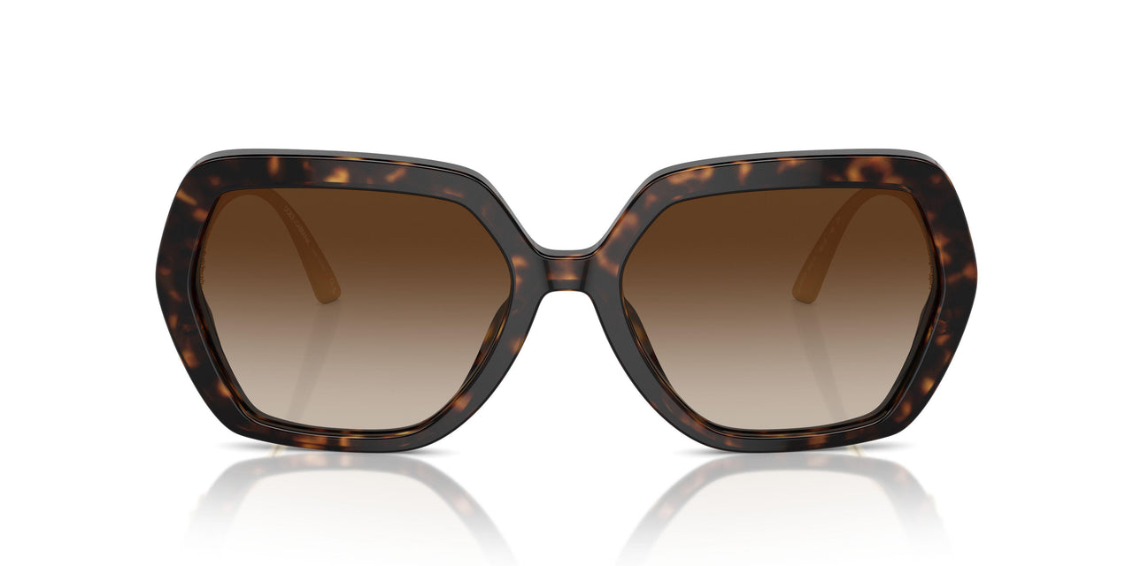 502/13 - Tortoise - Gradient Brown