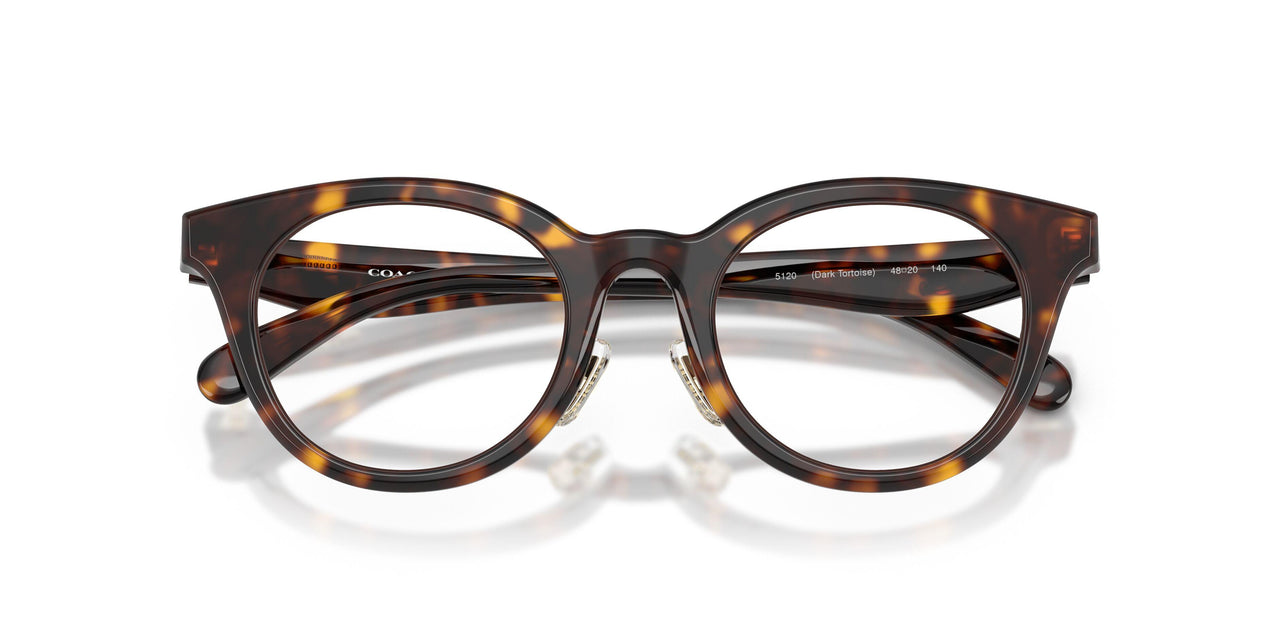 5120 - Tortoise