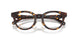 5120 - Tortoise
