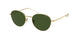 Polo 3144 Sunglasses