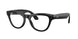 Ray-Ban Meta Skyler 4014 Sunglasses