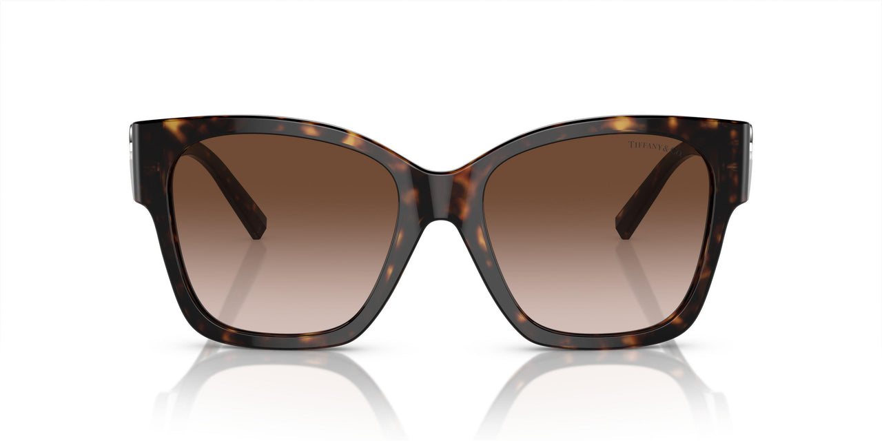 80153B - Tortoise - Brown Gradient
