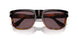 1160AF - Brown - Dark Violet Polar