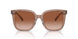 577913 - Brown - Brown Gradient