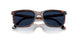 24/GG - Tortoise - Transitions 8 Sapphire