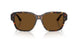 731/57 - Tortoise - Brown Polar