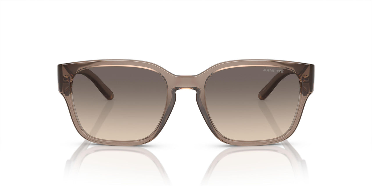 290613 - Brown - Gradient Brown