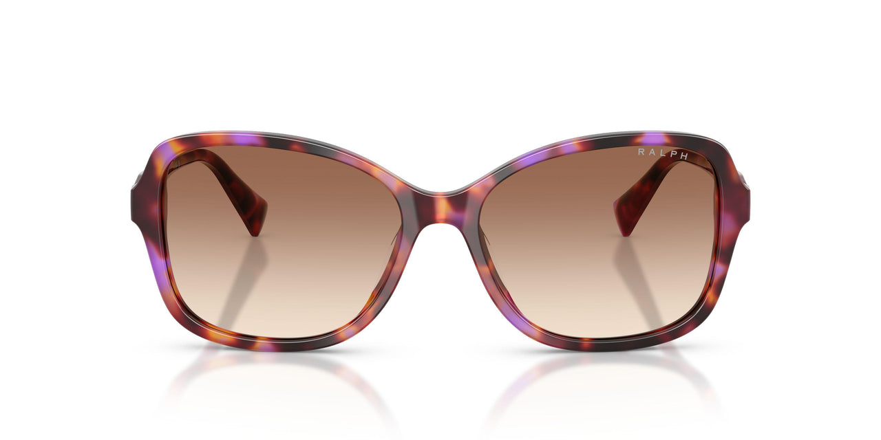 623913 - Violet - Gradient Brown