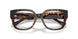 5002 - Tortoise