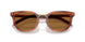 27F60F - Brown - Photogrey Extra Yellow
