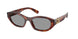 21C40O - Tortoise - Grey