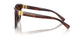 322274 - Red - Brown Gradient