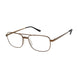 Aristar AR30717 Eyeglasses