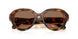 100273 - Tortoise - Dark Brown