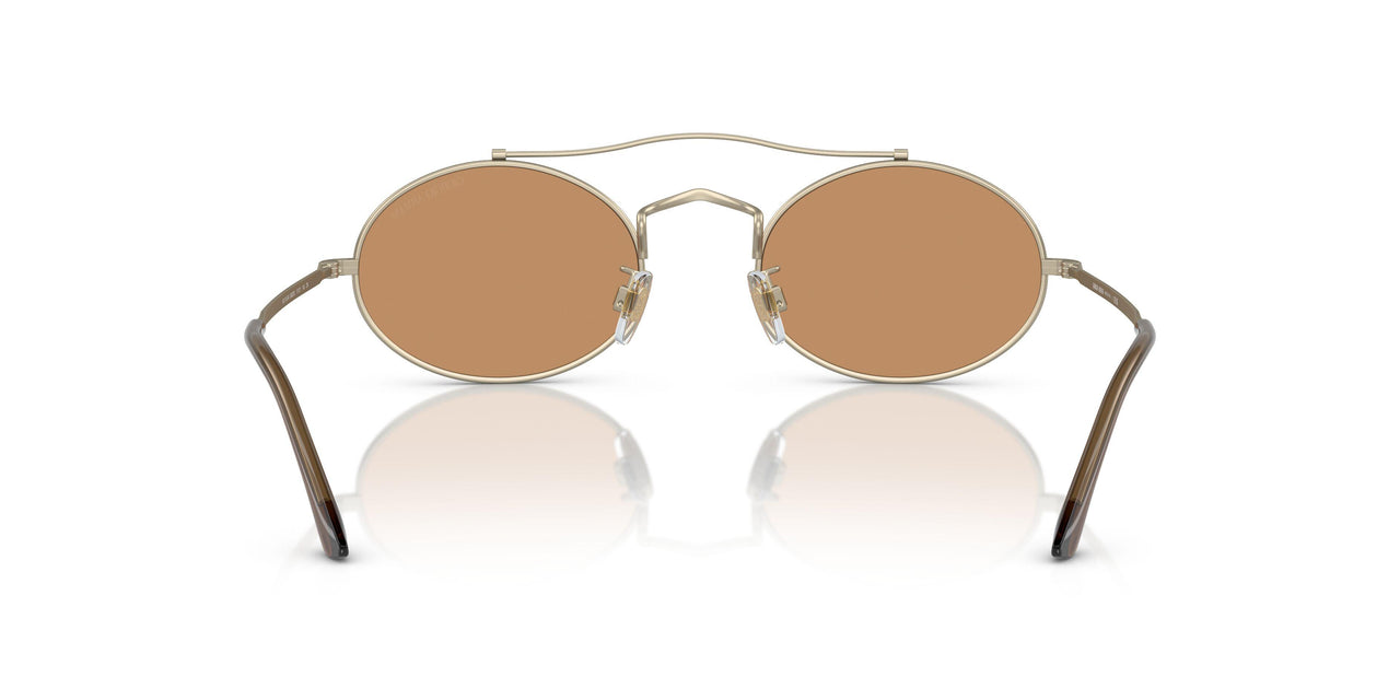 300253 - Gold - Brown