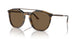 603773 - Tortoise - Dark Brown