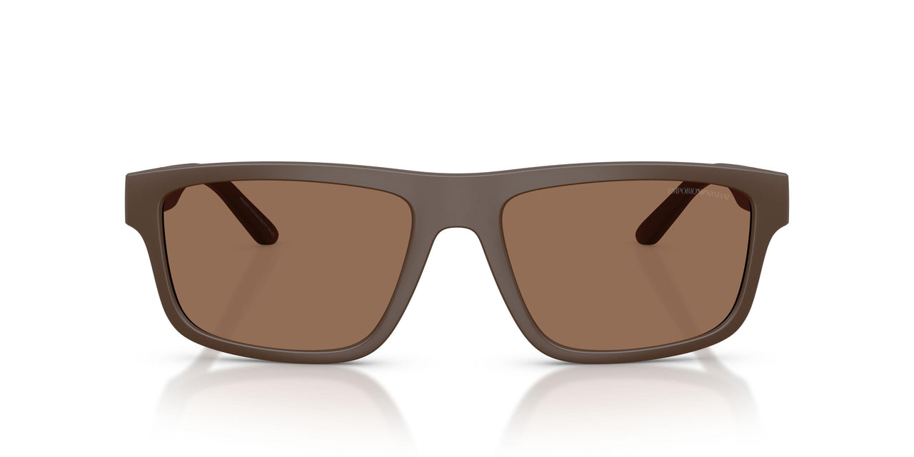 624373 - Brown - Dark Brown