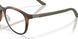 802805 - Tortoise