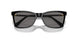 100181 - Black - Dark Grey Polarized