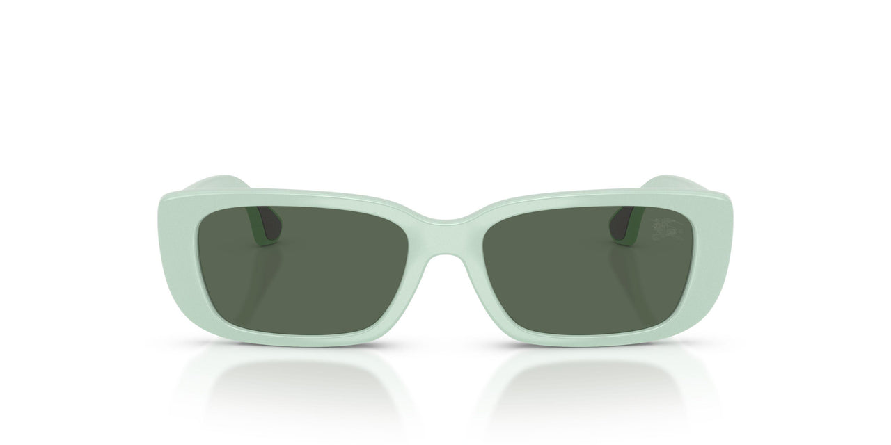 423071 - Green - Dark Green