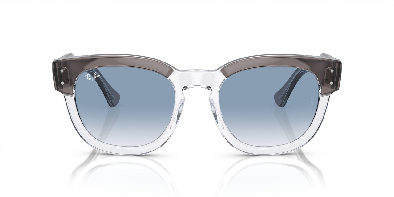 13553F - Grey - Clear/blue