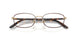 3193 - Tortoise - Clear
