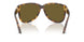 14L09Z - Tortoise - Dark Brown