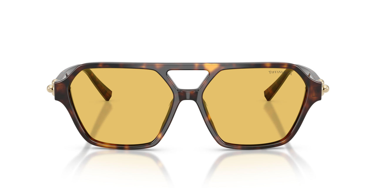 801585 - Tortoise - Yellow