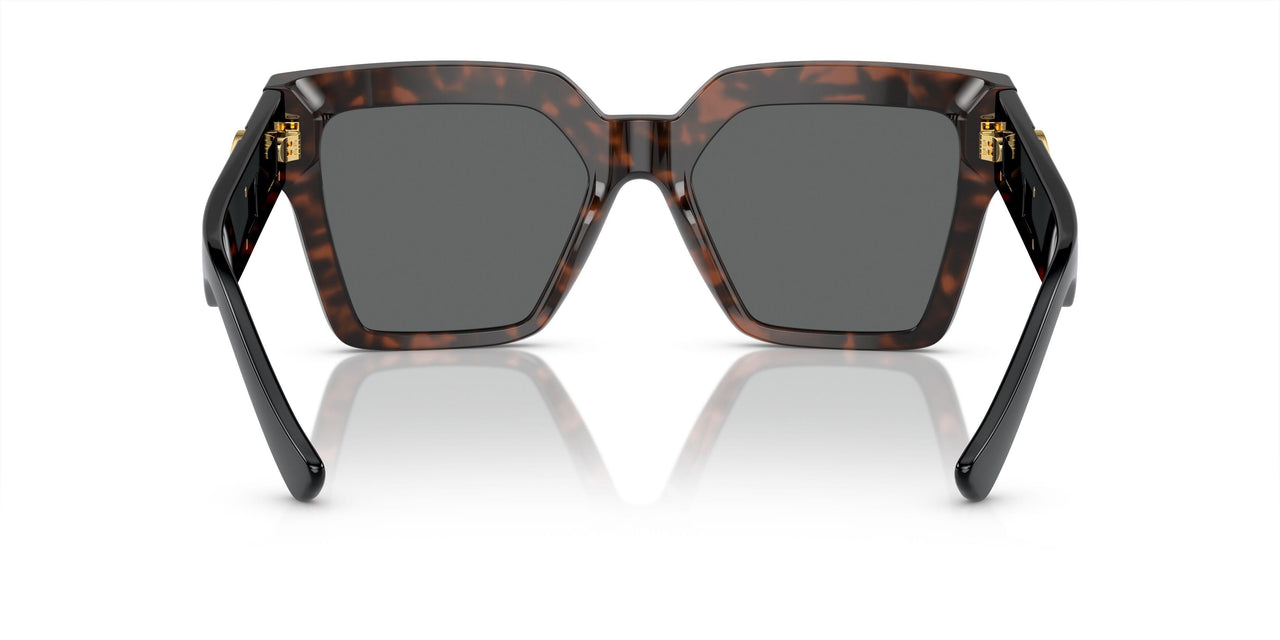542987 - Tortoise - Dark Grey