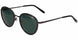 Jaguar 37467 Sunglasses