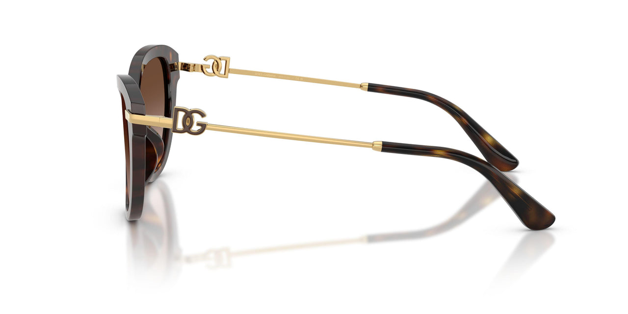 502/13 - Tortoise - Light Brown Gradient Dark Brow