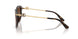 502/13 - Tortoise - Light Brown Gradient Dark Brow