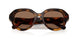 100273 - Tortoise - Dark Brown
