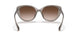 824013 - Brown - Gradient Brown