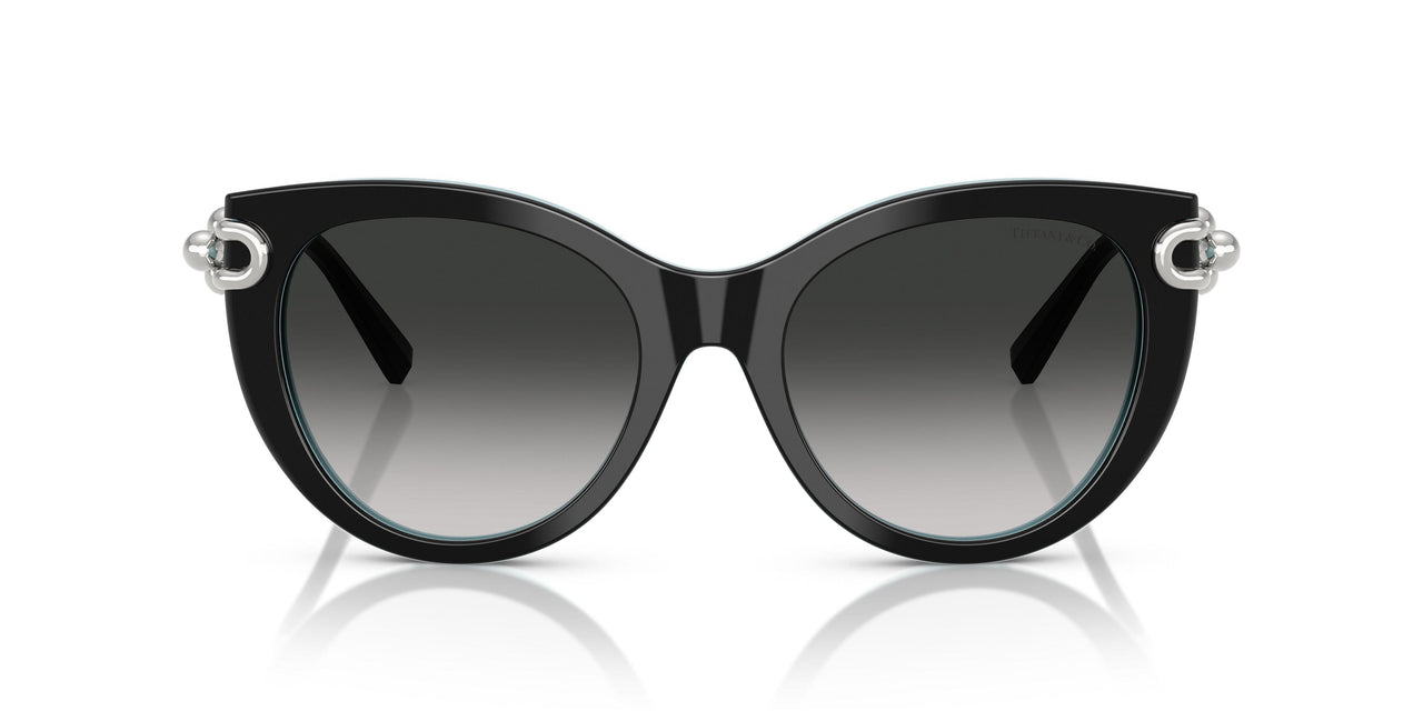 80553C - Black - Grey Gradient