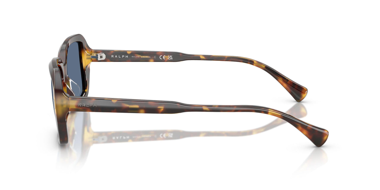 513480 - Tortoise - Dark Blue