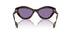 17N50B - Tortoise - Violet Mirror Internal Silver