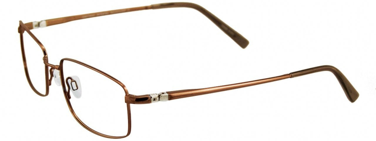 10 - Shiny Med. Copp-Brown