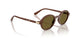 329673 - Brown - Dark Brown