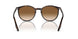 902/51 - Tortoise - Clear/brown